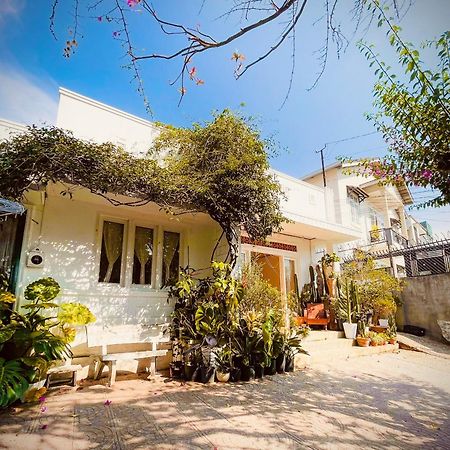 Hat De Homestay Da Lat Dış mekan fotoğraf
