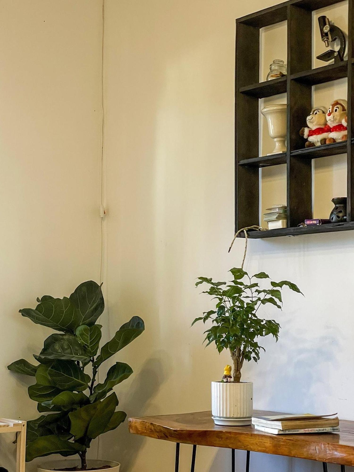 Hat De Homestay Da Lat Dış mekan fotoğraf
