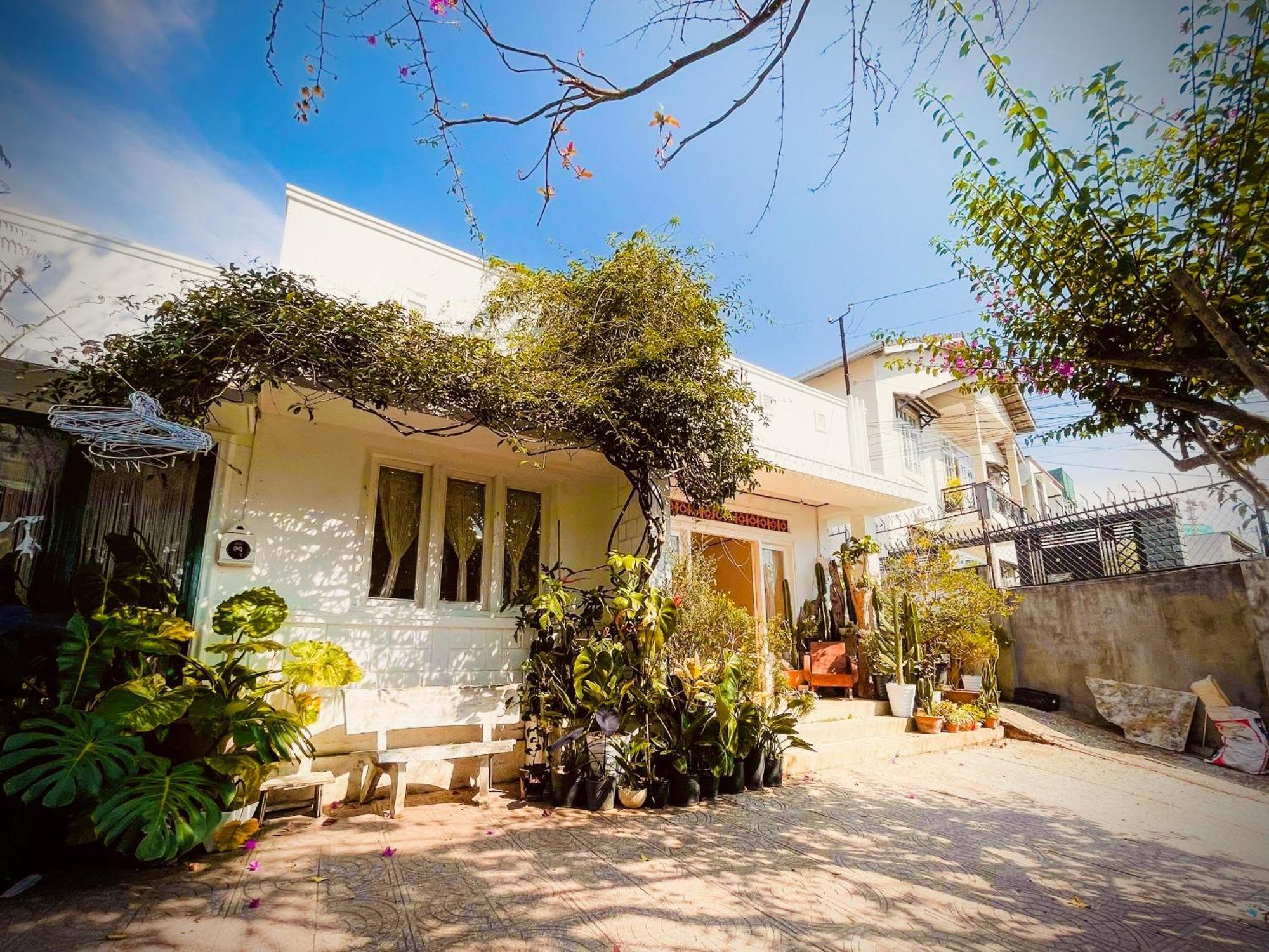 Hat De Homestay Da Lat Dış mekan fotoğraf