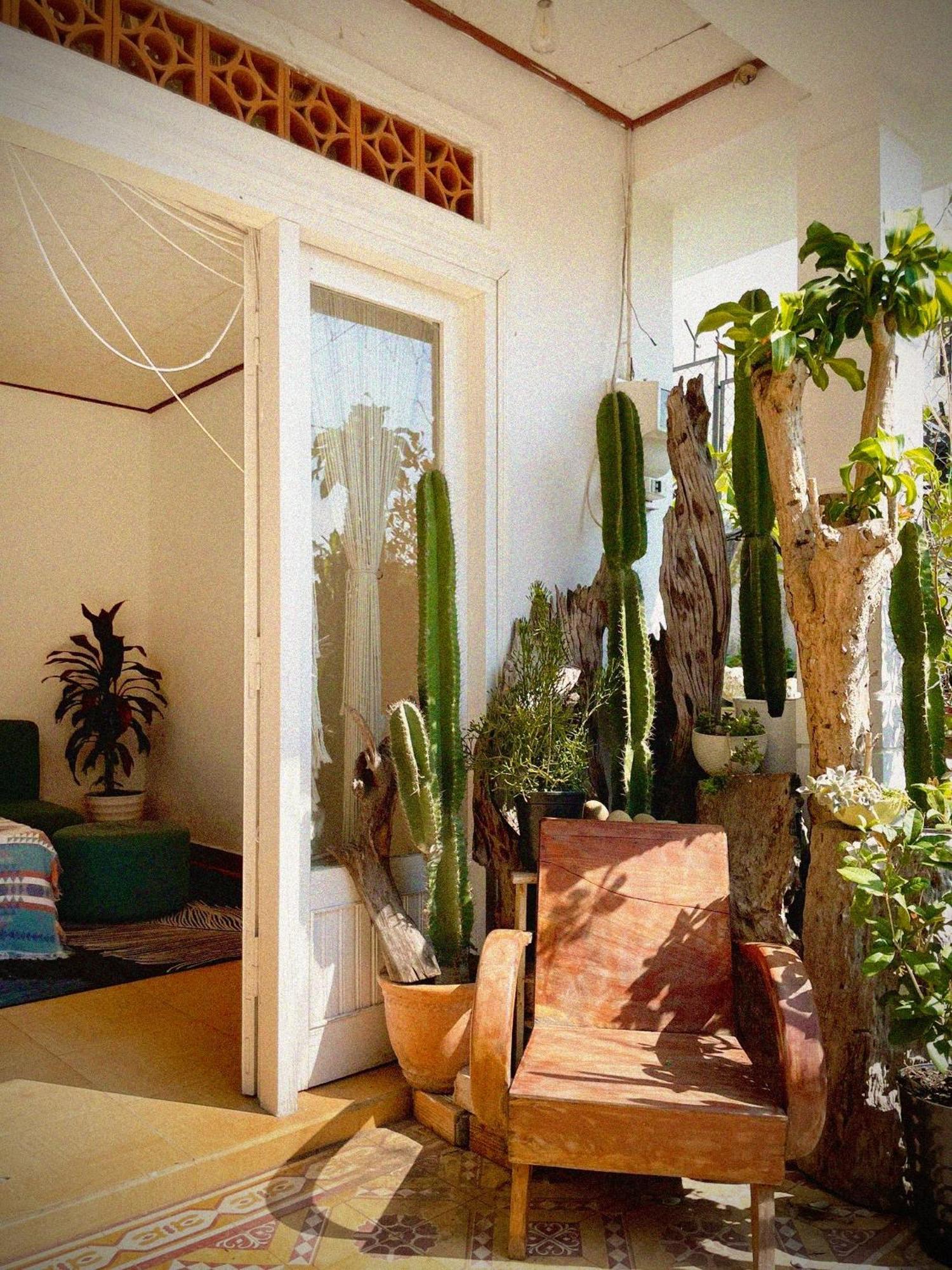 Hat De Homestay Da Lat Dış mekan fotoğraf