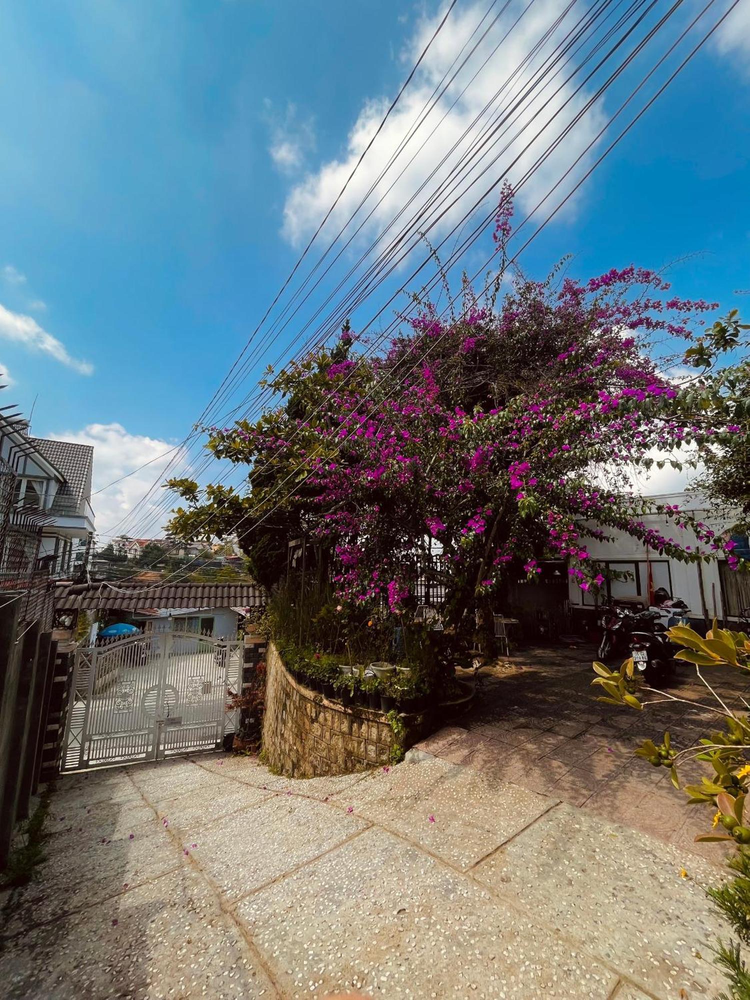 Hat De Homestay Da Lat Dış mekan fotoğraf