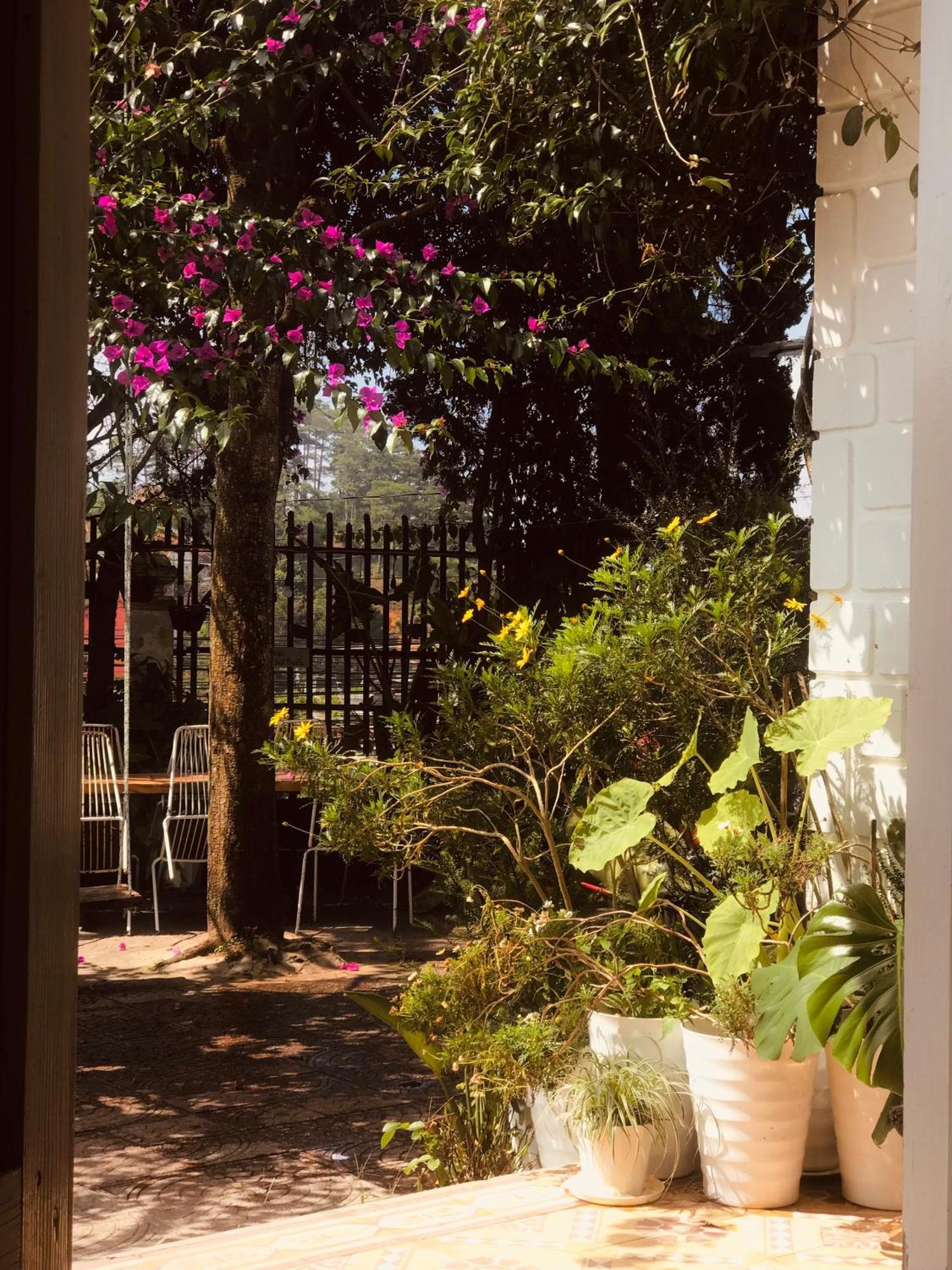 Hat De Homestay Da Lat Dış mekan fotoğraf