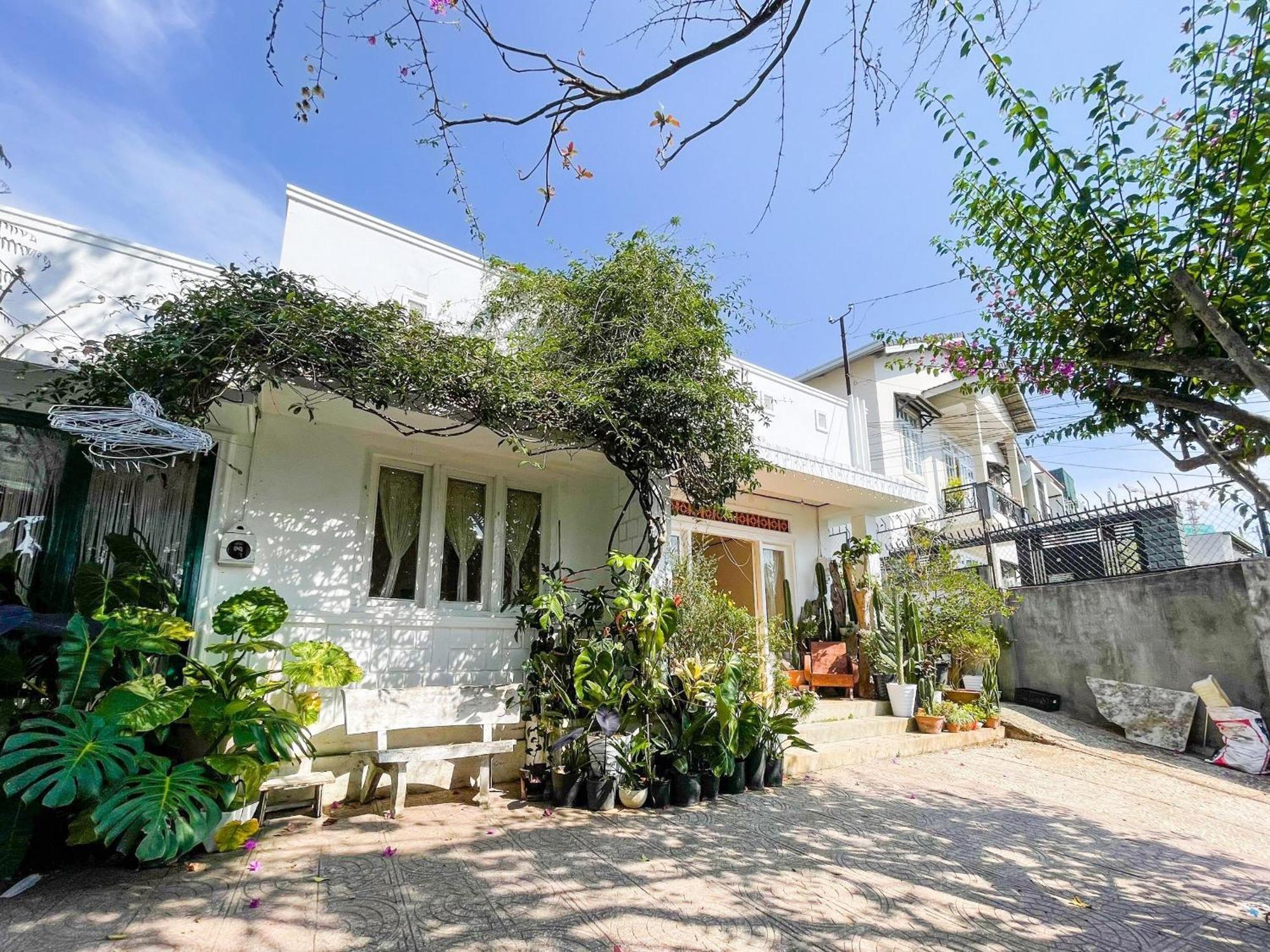 Hat De Homestay Da Lat Dış mekan fotoğraf