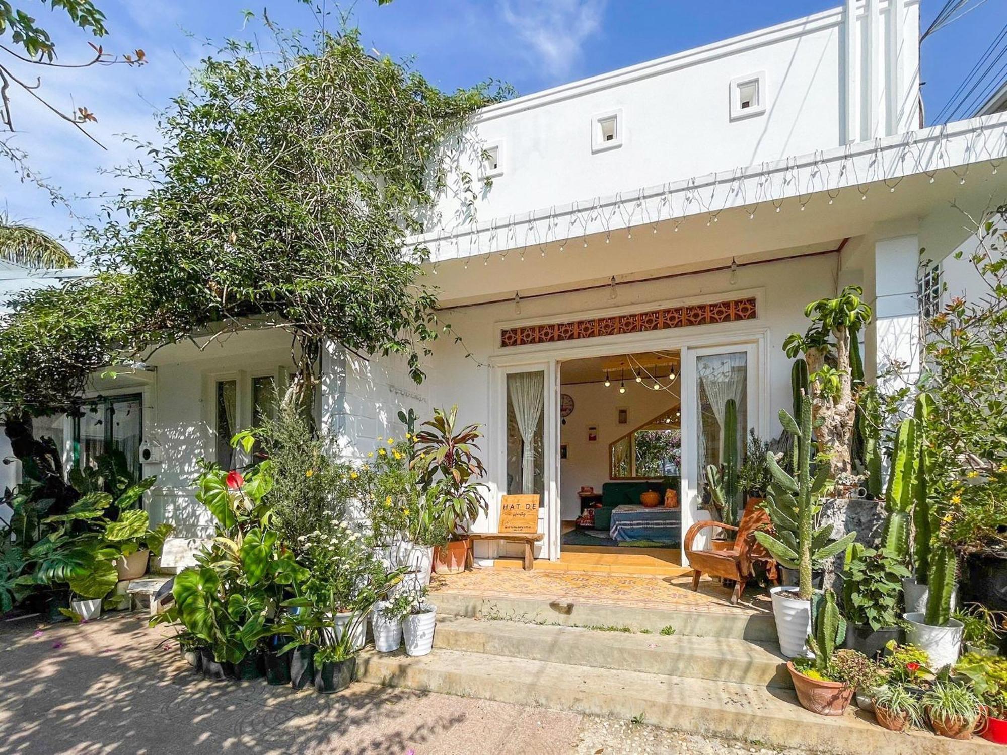 Hat De Homestay Da Lat Dış mekan fotoğraf