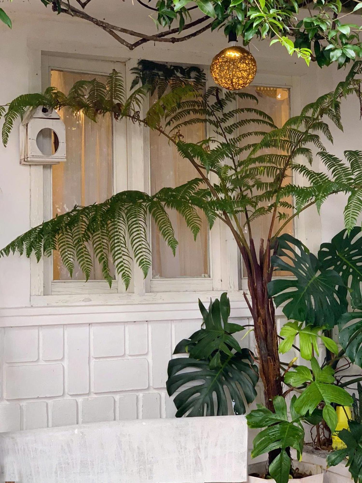 Hat De Homestay Da Lat Dış mekan fotoğraf