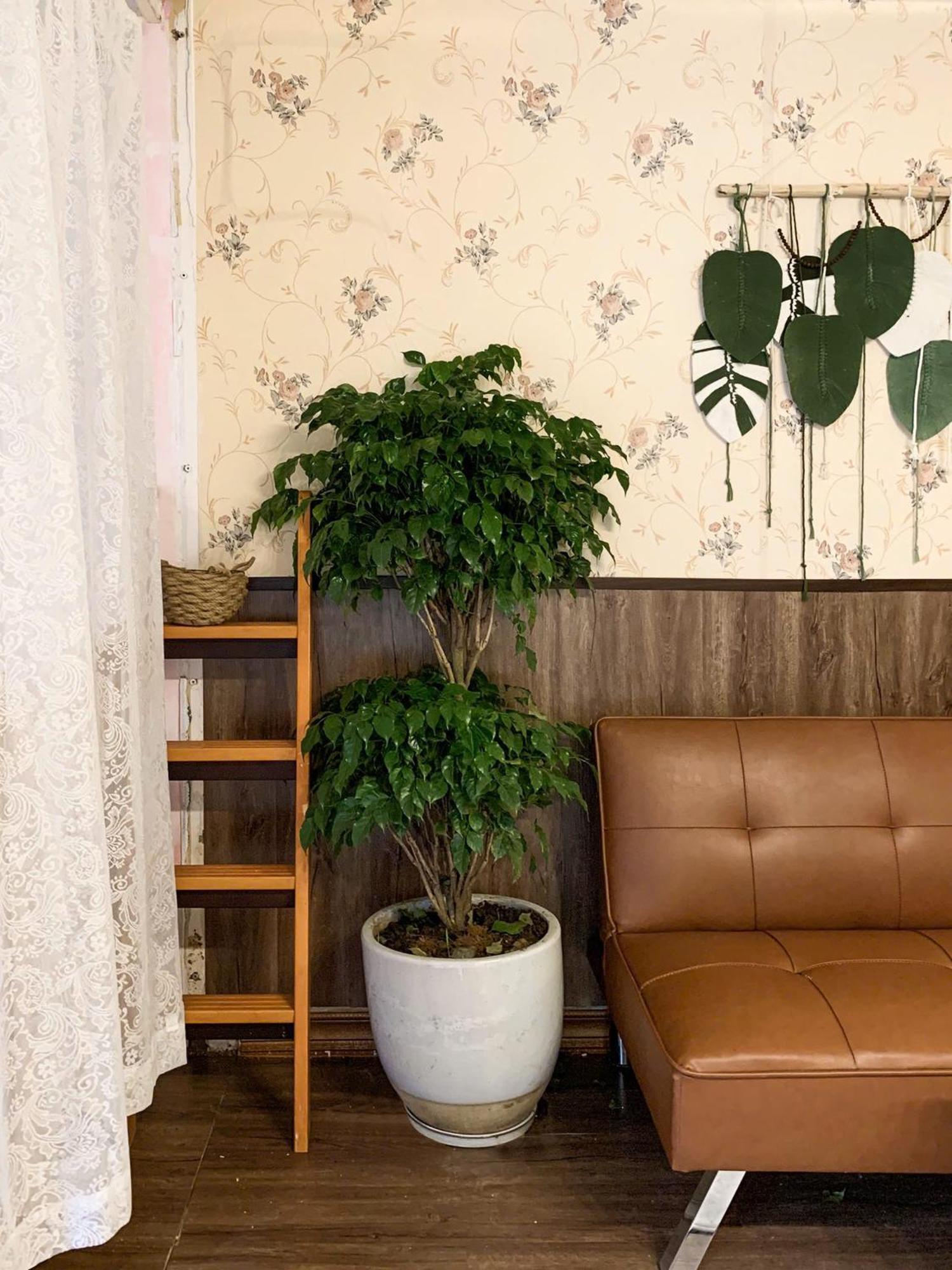 Hat De Homestay Da Lat Dış mekan fotoğraf